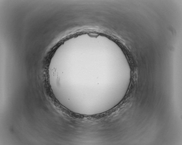 X0000110911496200907091426