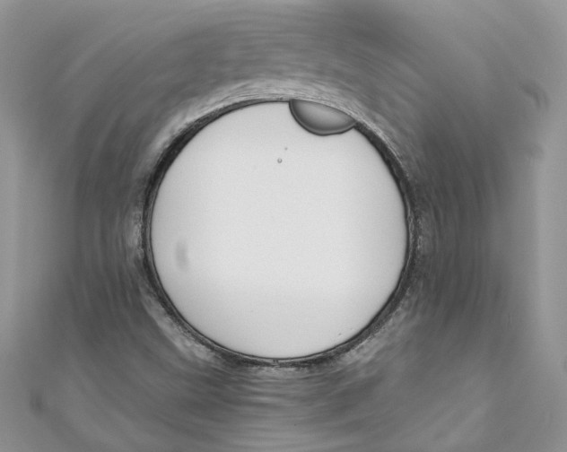 X0000110911499200907091426