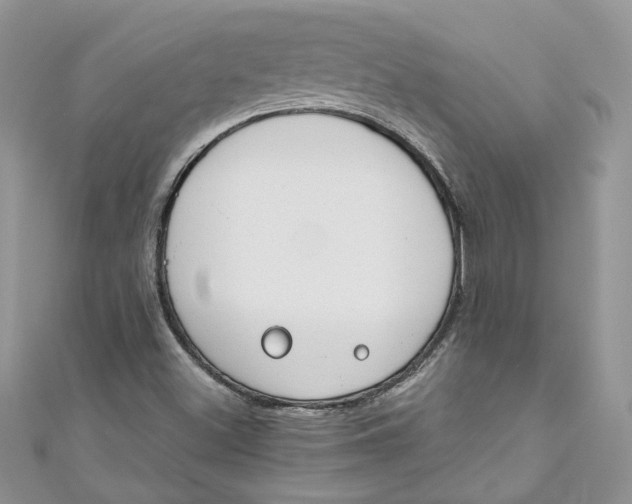 X0000110911500200907091426