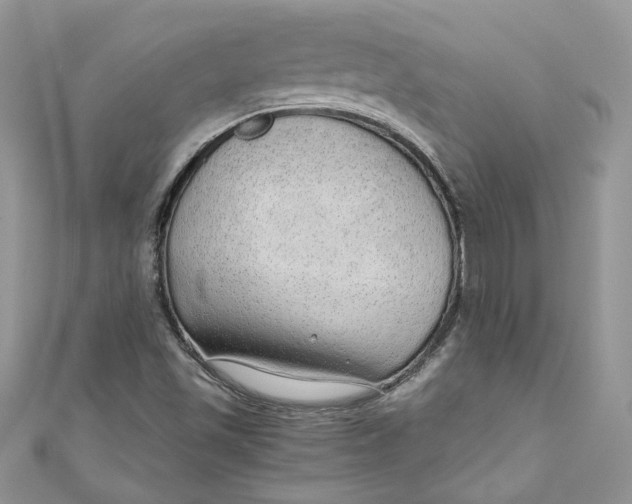 X0000110911501200907091426