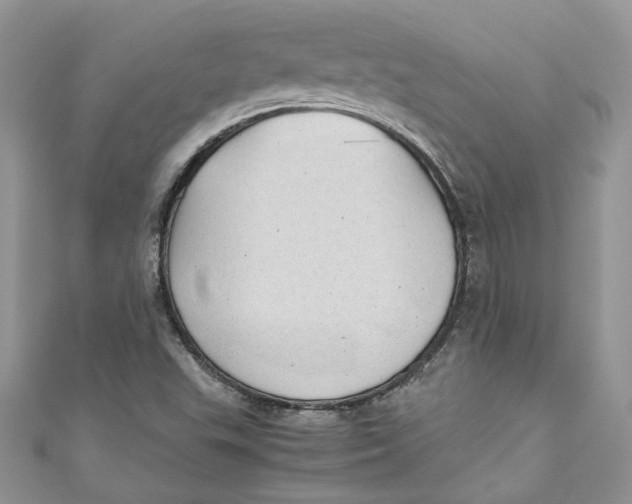 X0000110911503200907091426