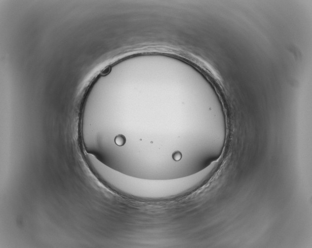 X0000110911504200907091426