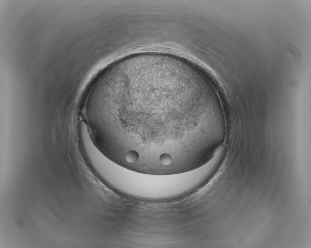 X0000110911506200907091426