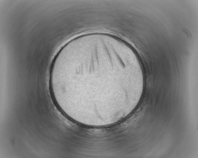 X0000110911508200907091426