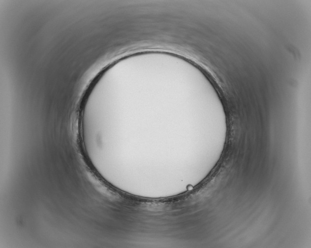 X0000110911511200907091426