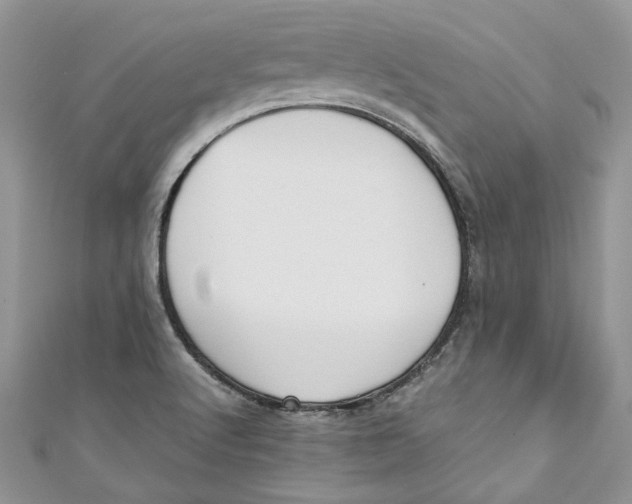 X0000110911512200907091426