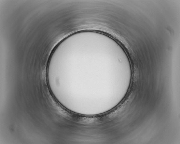 X0000110911513200907091426