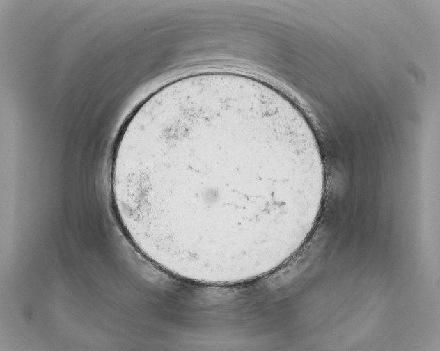 X0000110911514200907091426