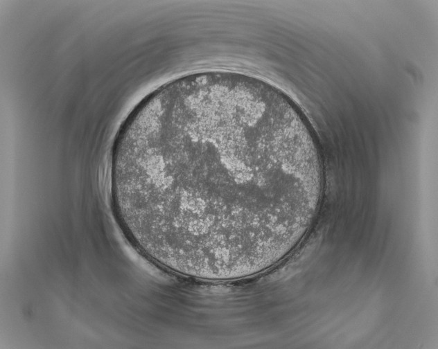 X0000110911515200907091426