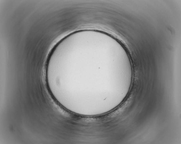 X0000110911517200907091426