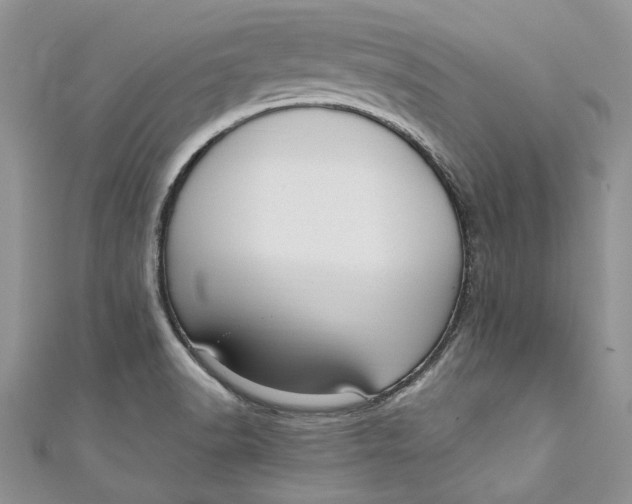 X0000110911518200907091426