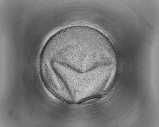 X0000110911519200907091426