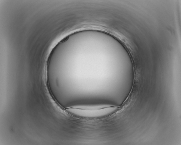 X0000110911520200907091426