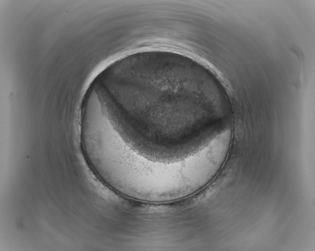 X0000110911522200907091426