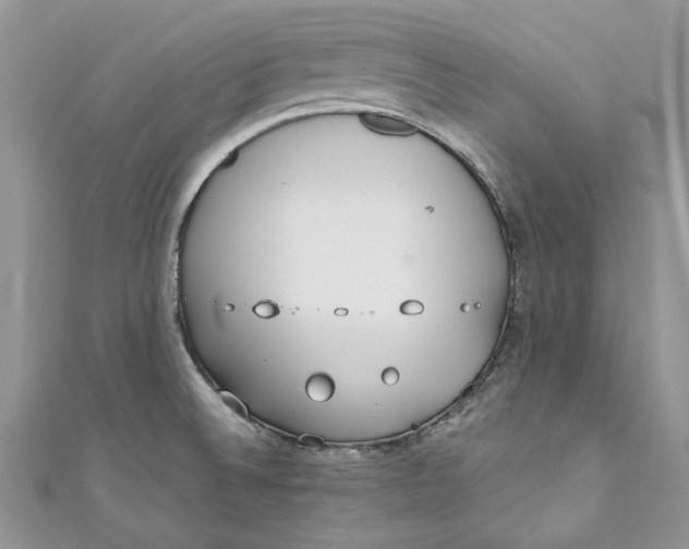 X0000110911524200907091426