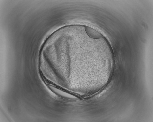 X0000110911525200907091426