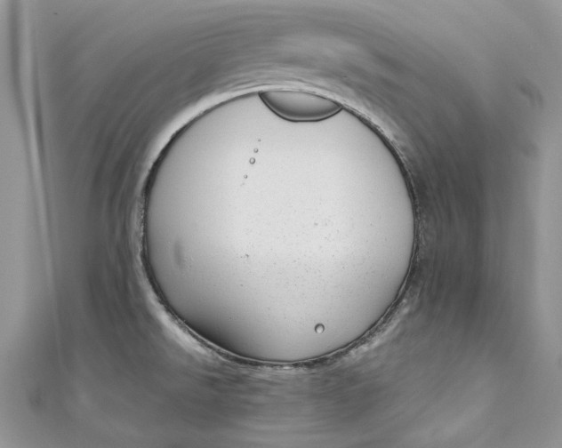 X0000110911526200907091426