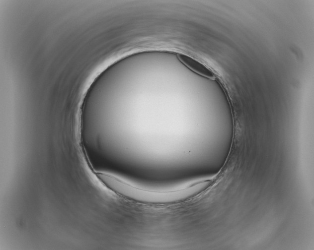 X0000110911528200907091426