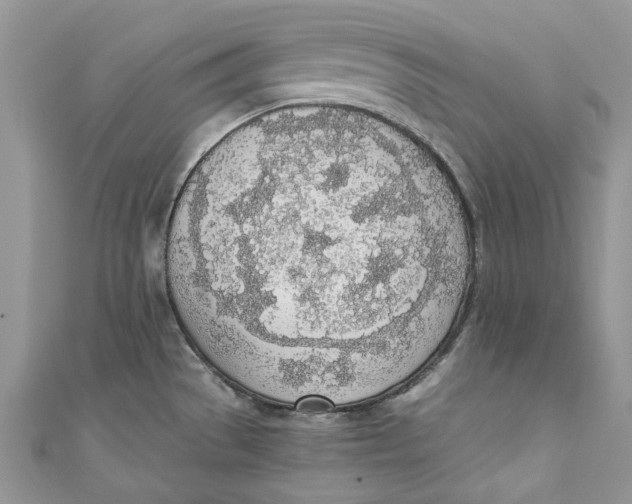 X0000110911529200907091426