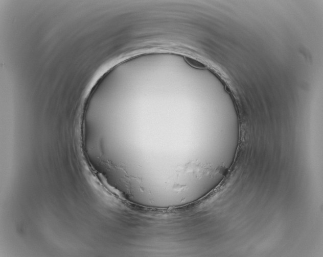 X0000110911530200907091426