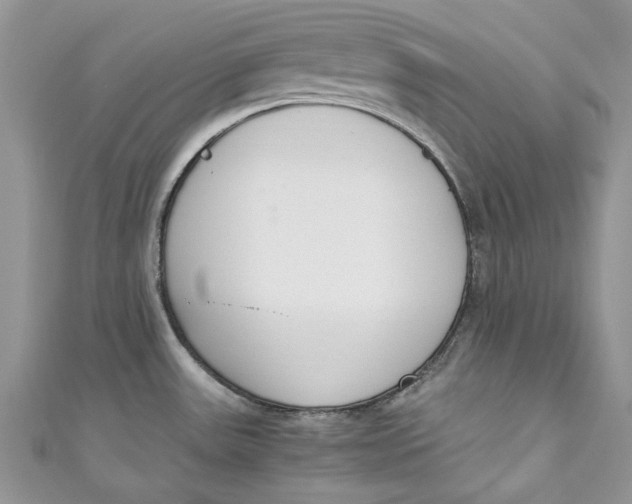 X0000110911531200907091426