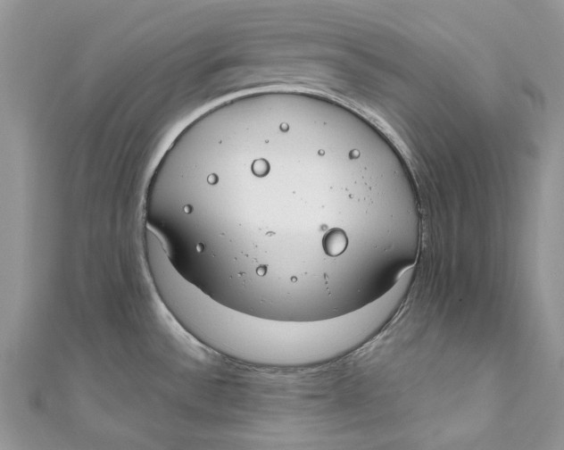 X0000110911532200907091426