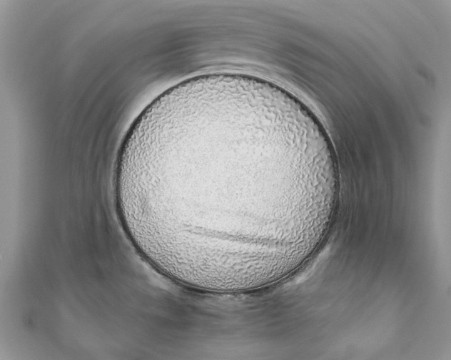 X0000110911533200907091426