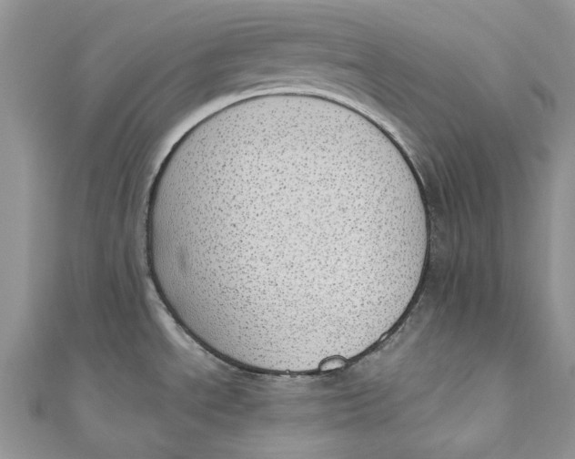 X0000110911534200907091426