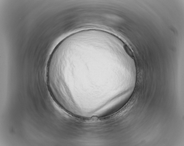 X0000110911535200907091426