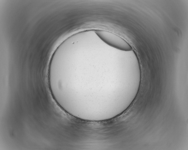 X0000110911536200907091426