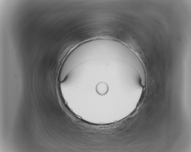 X0000110910001200907161508