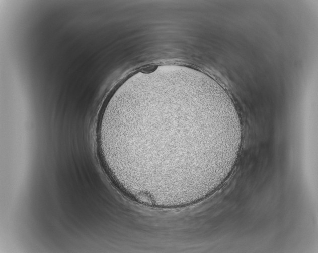 X0000110910002200907161508