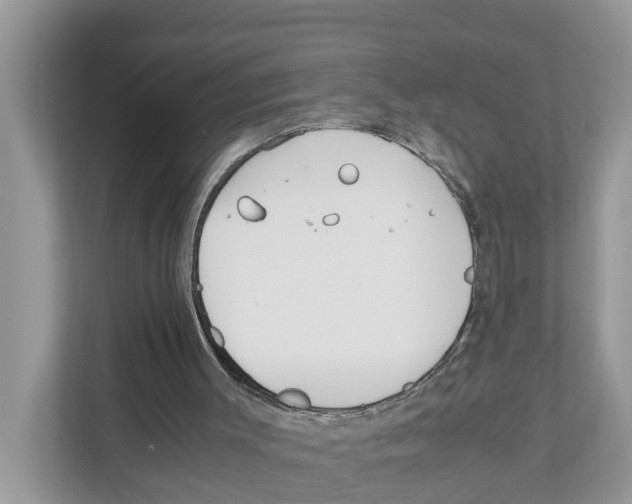 X0000110910003200907161508