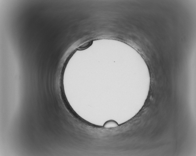 X0000110910007200907161508