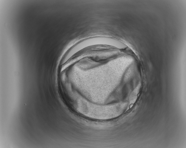 X0000110910008200907161508