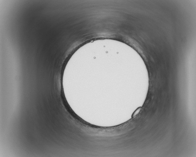 X0000110910011200907161508