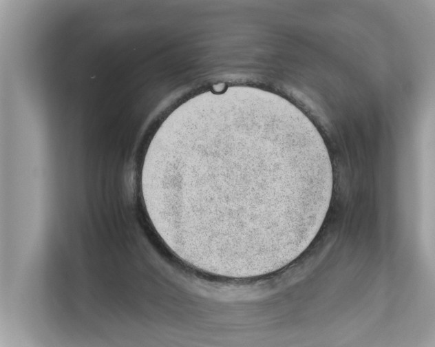 X0000110910016200907161508