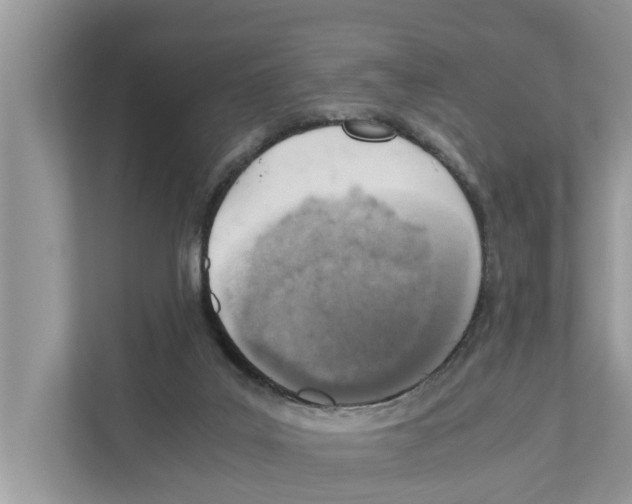 X0000110910019200907161508