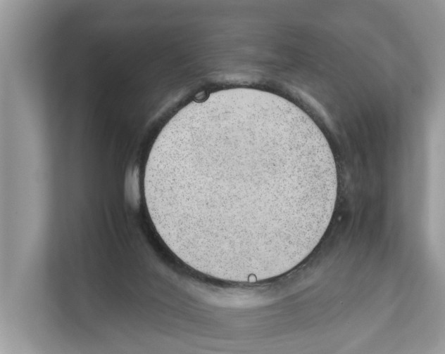 X0000110910020200907161508