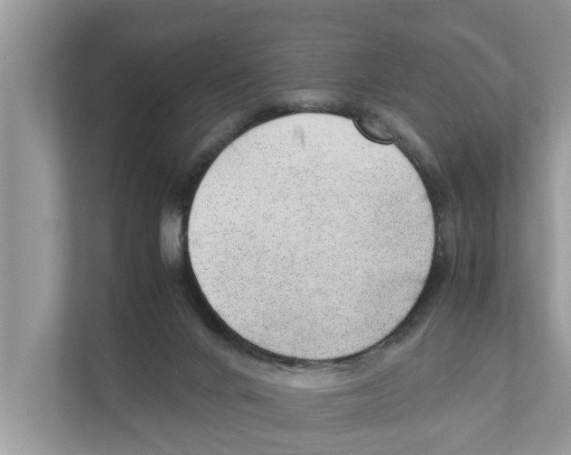 X0000110910024200907161508