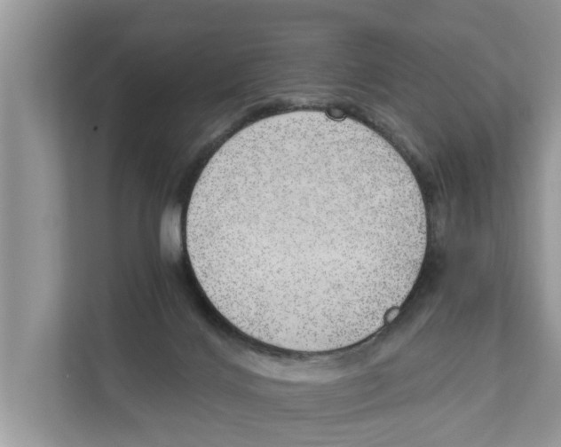 X0000110910028200907161508