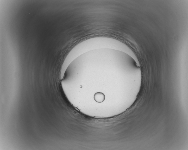 X0000110910029200907161508