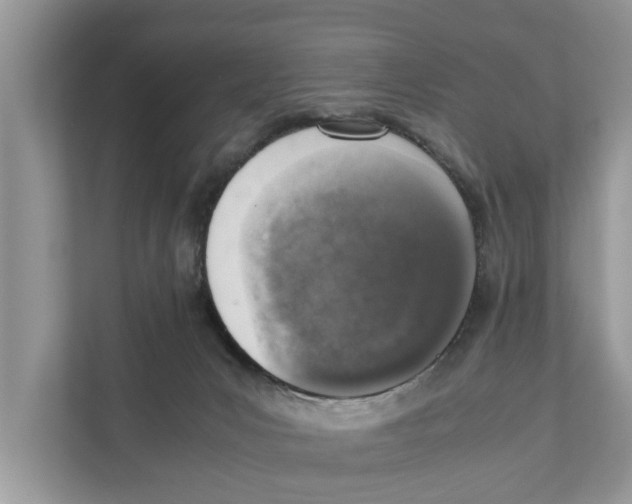 X0000110910031200907161508