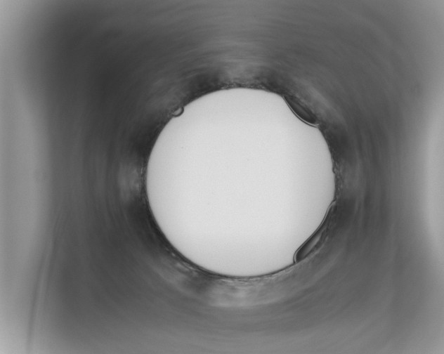 X0000110910033200907161508