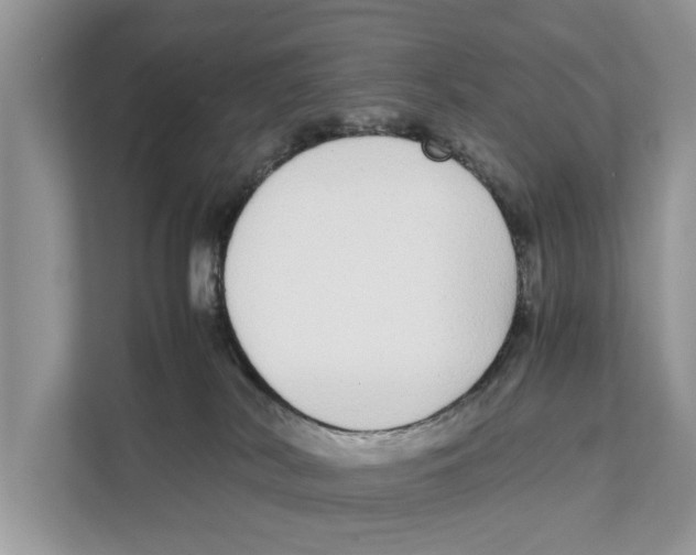 X0000110910038200907161507