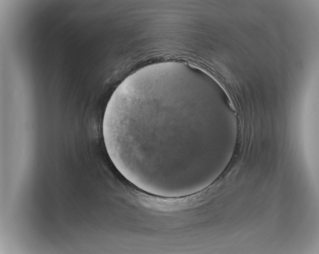 X0000110910039200907161507