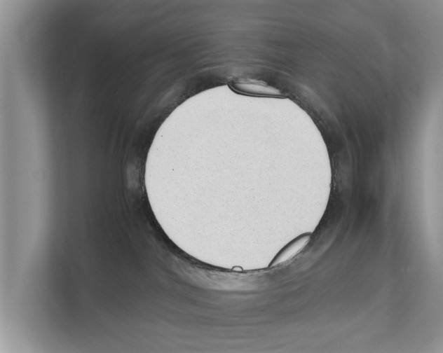 X0000110910044200907161507