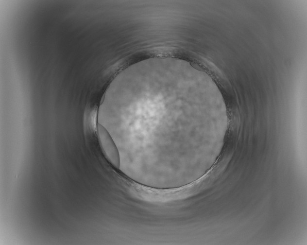 X0000110910047200907161507