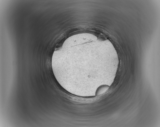 X0000110910048200907161507