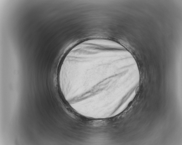 X0000110910050200907161507